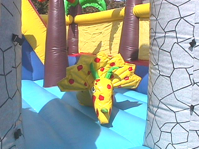 Animal Inside Dino Land Kids Play Area