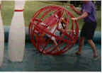 Human Bowling Maryland | BOWLING BALL IN ACTION BOWLING BALL IN ACTION