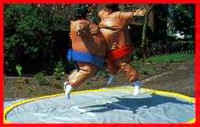 Sumo Wrestling