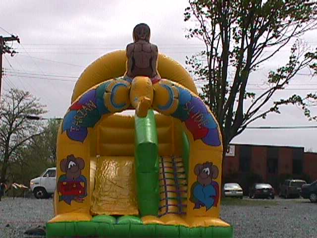 Kiddie Tarzan Slide