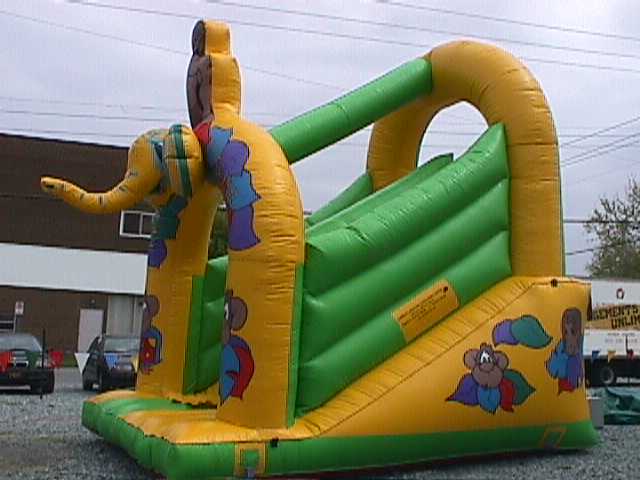 Kiddie Tarzan Slide